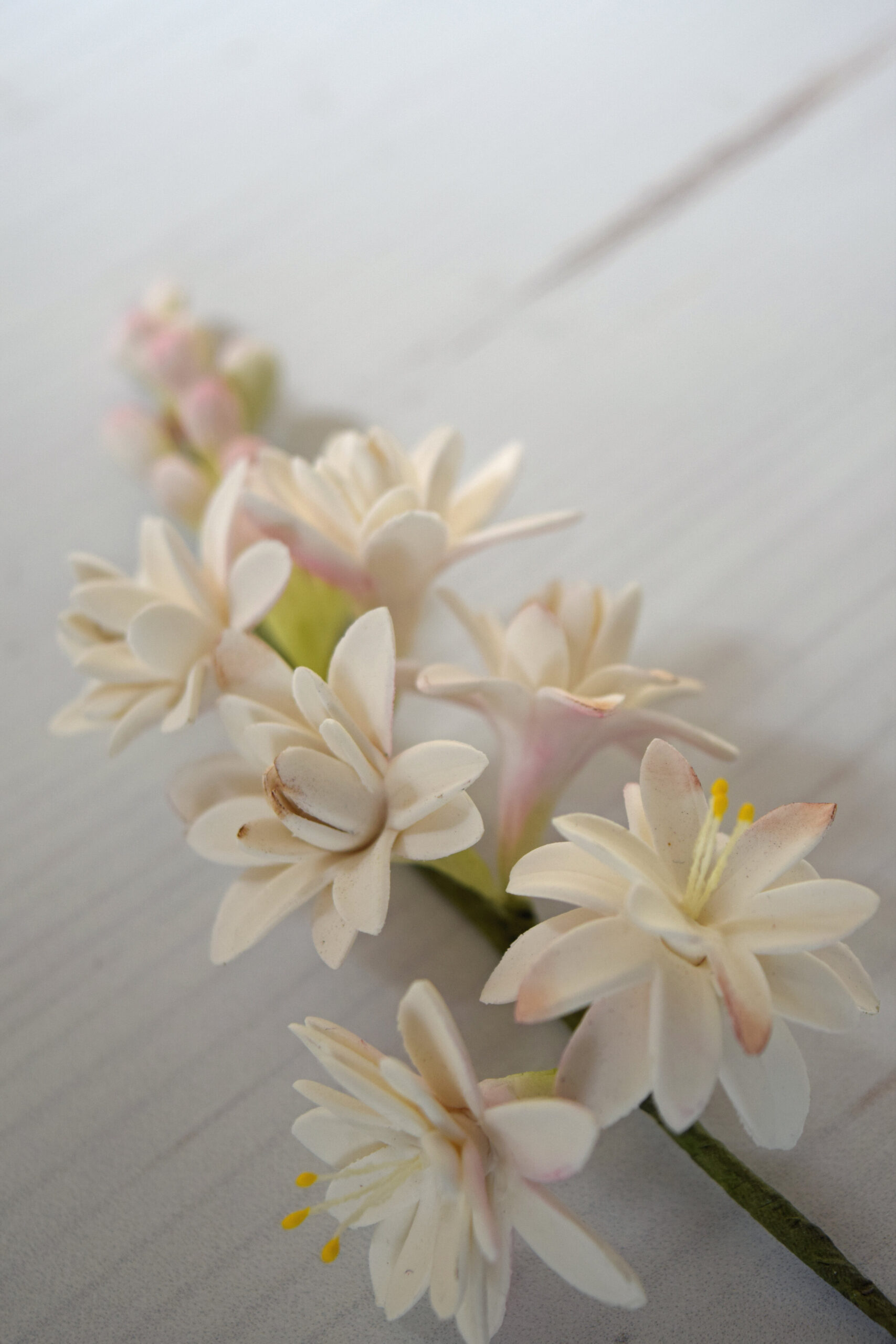 can sugar flowers be refrigerated? these gumpaste tuberose do best if they avoid contact with humidity.
