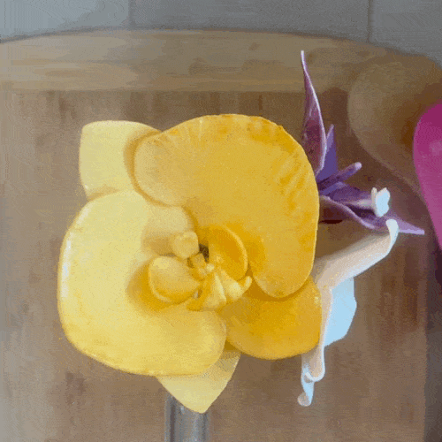 How Long Can You Store Sugar Flowers? Sugar Flowers by Kelsie Cakes