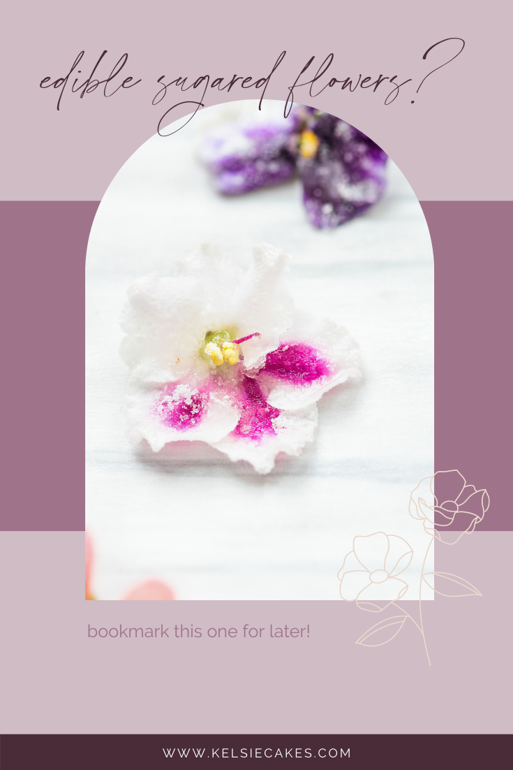 pin to pinterest: edible sugared flowers? featuring a violet covered in crystallized sugar