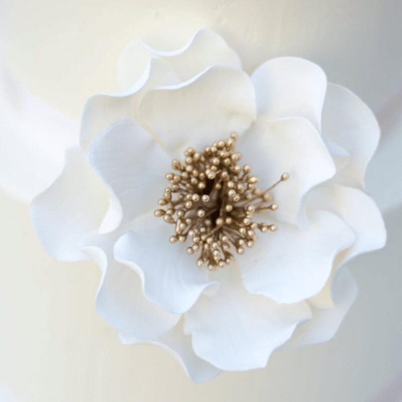 Gold Open Roses Bundle - Image 4