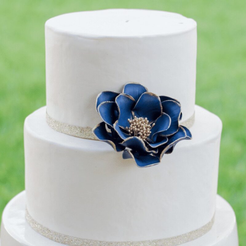 navy gold edged open rose sugar flower medium