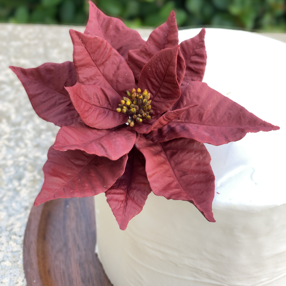 burgundy poinsettia sugar flower for christmas by kelsie cakes