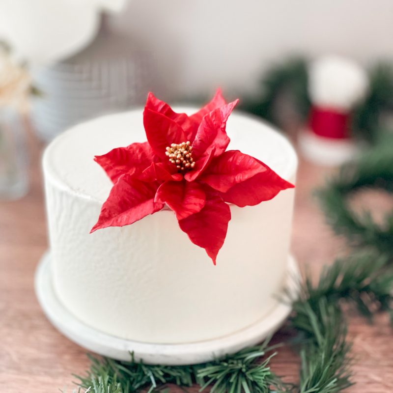 red poinsettia sugar flower for christmas by kelsie cakes