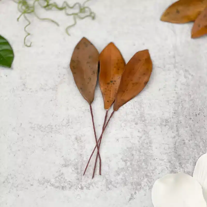 Dried Magnolia Leaves - Set of 3 Sugar Flowers by Kelsie Cakes