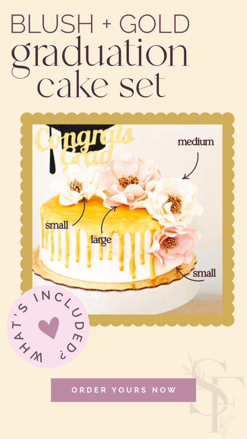 Blush + Gold Graduation Bundle - Image 3