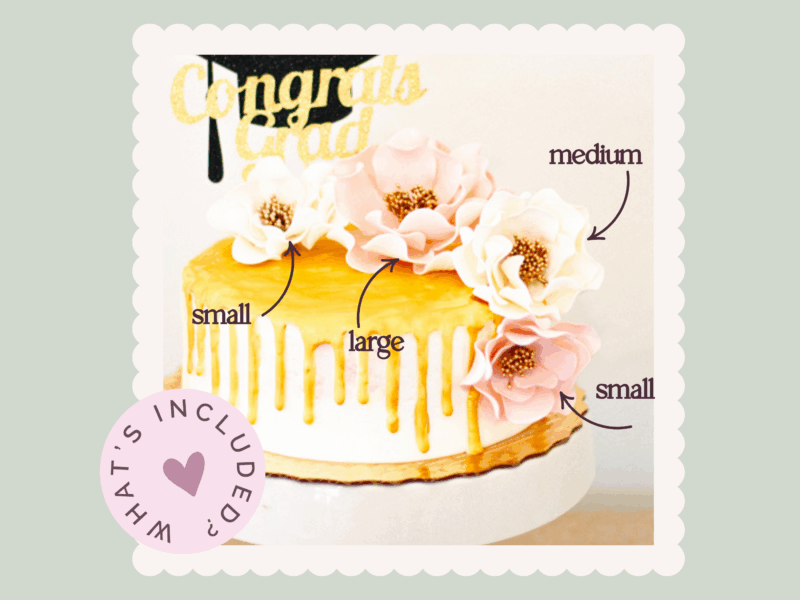 Blush + Gold Graduation Bundle - Image 4
