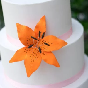 The Perfect Pair Sugar Flower Bundle Sugar Flowers by Kelsie Cakes