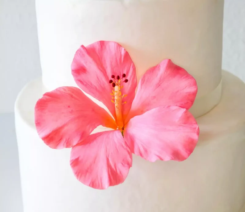 Tropical Pink Hibiscus Sugar Flowers by Kelsie Cakes