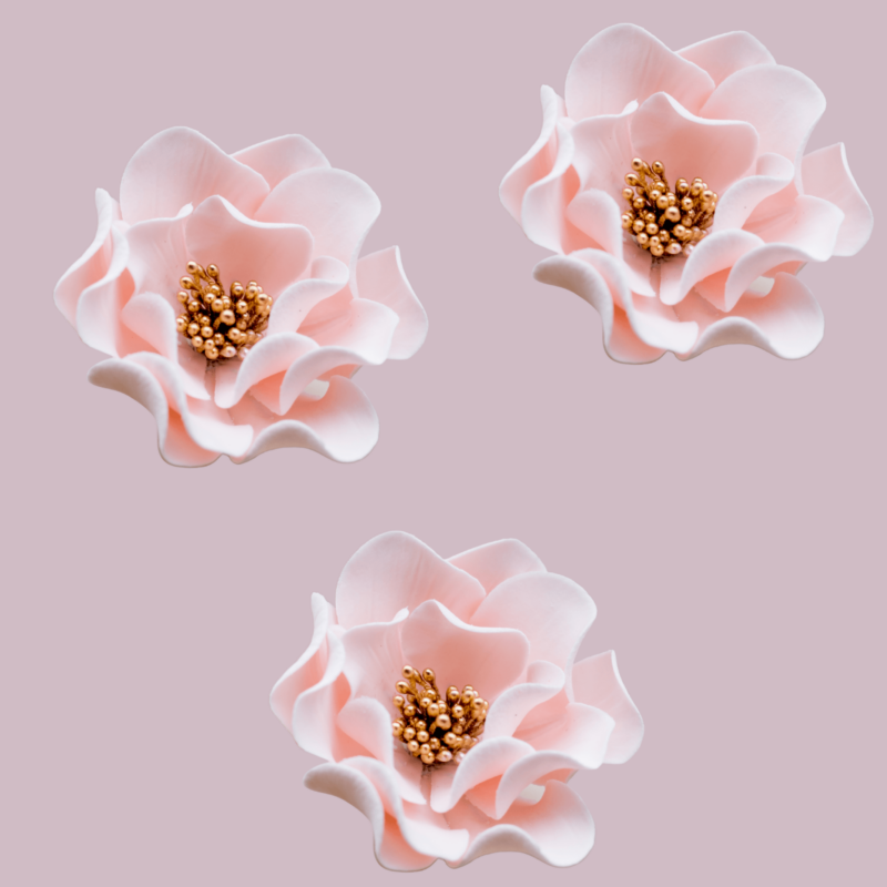 Blush Trio of Open Roses Sugar Flowers by Kelsie Cakes