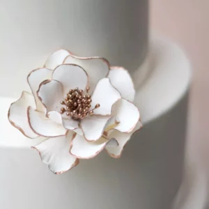 White + Gold Edged Open Rose - Medium Sugar Flowers by Kelsie Cakes