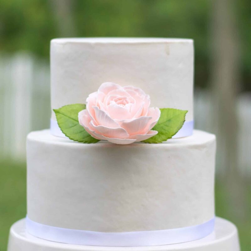 blush pink garden rose sugar flower on a two tier white fondant wedding cake with green leaves