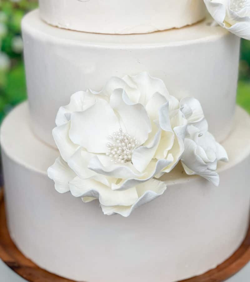White Open Rose Extra Large Sugar Flowers by Kelsie Cakes