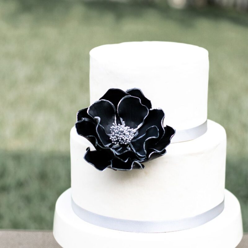 Black + Silver Edged Open Rose