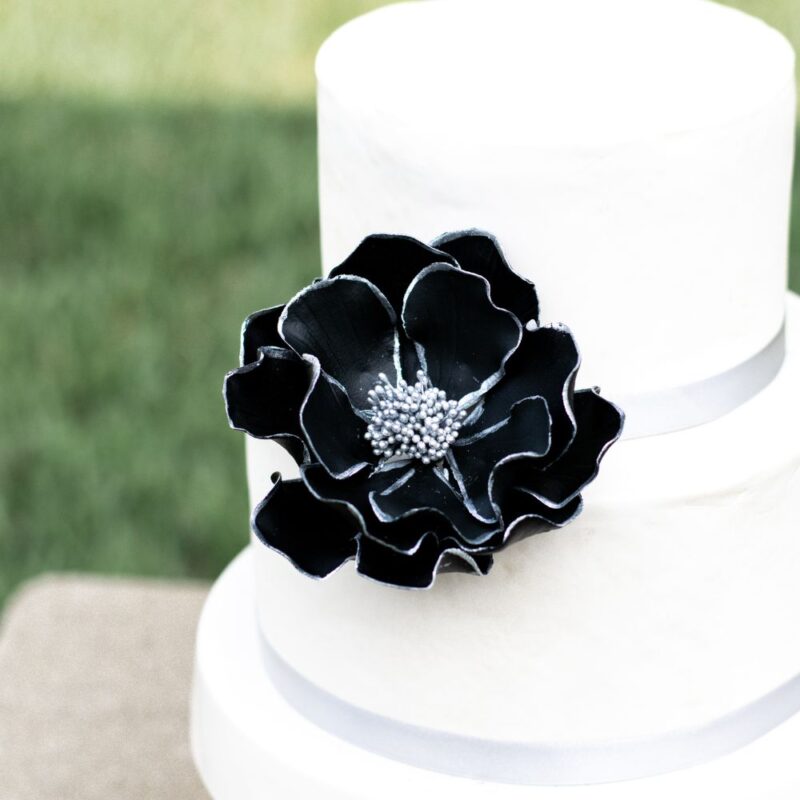 Black + Silver Edged Open Rose - Image 3