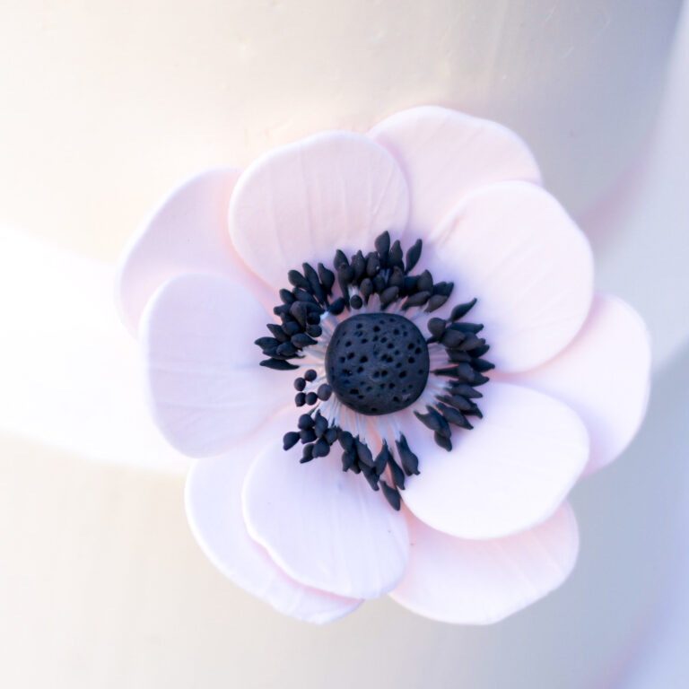 blush anemone sugar flower