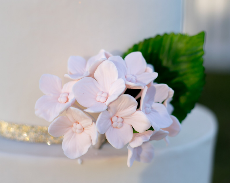 Blush Pink Hydrangea with Leaf Sugar Flowers by Kelsie Cakes