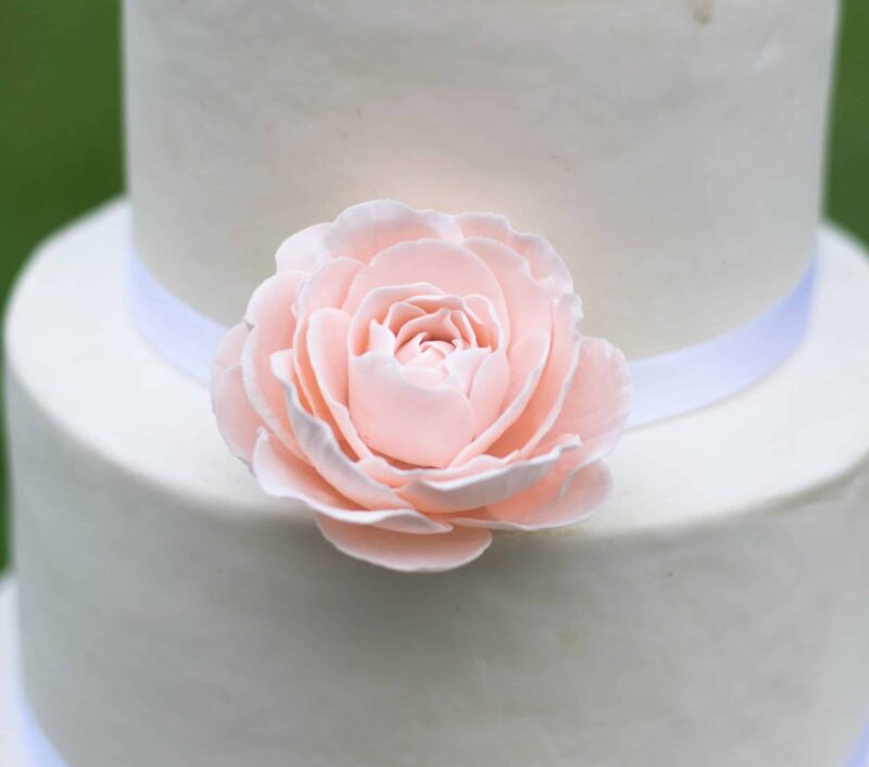 blush pink garden rose gumpaste flower