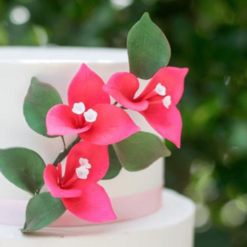 Pink Bougainvillea Sugar Flowers by Kelsie Cakes
