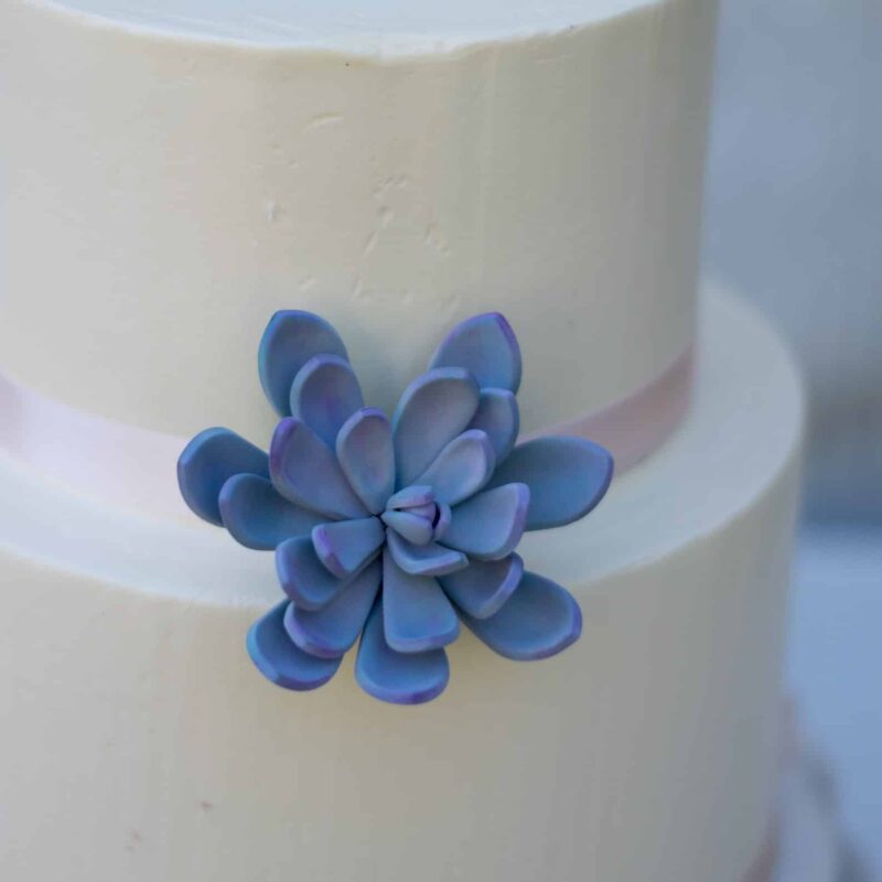 Dusty Blue Succulent Sugar Flowers by Kelsie Cakes