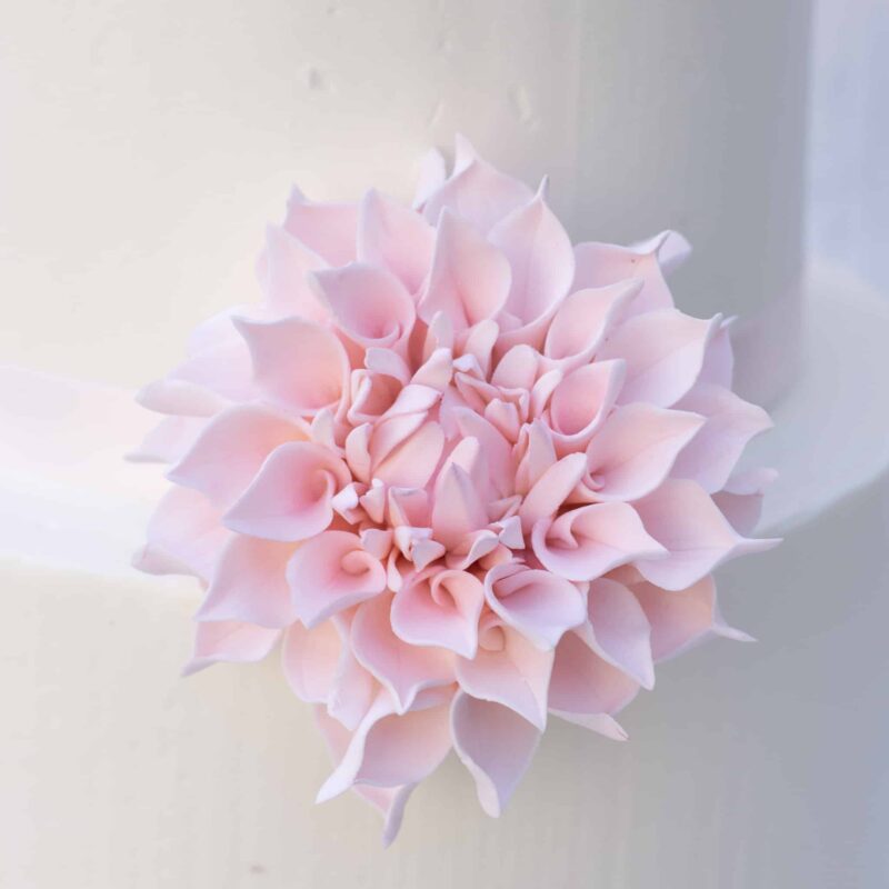 Blush Dahlia Sugar Flowers by Kelsie Cakes