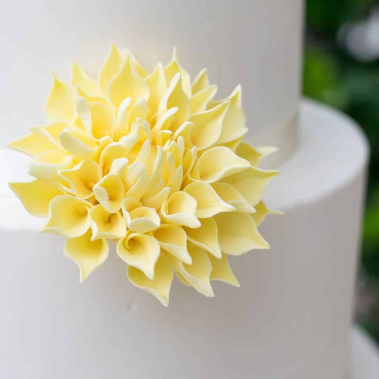 pale yellow dahlia sugar flower