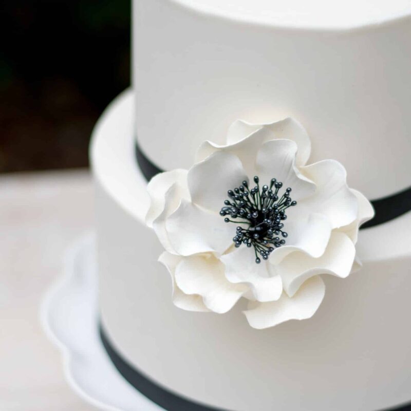large white and black open rose sugar flower on a two tier white fondant wedding cake