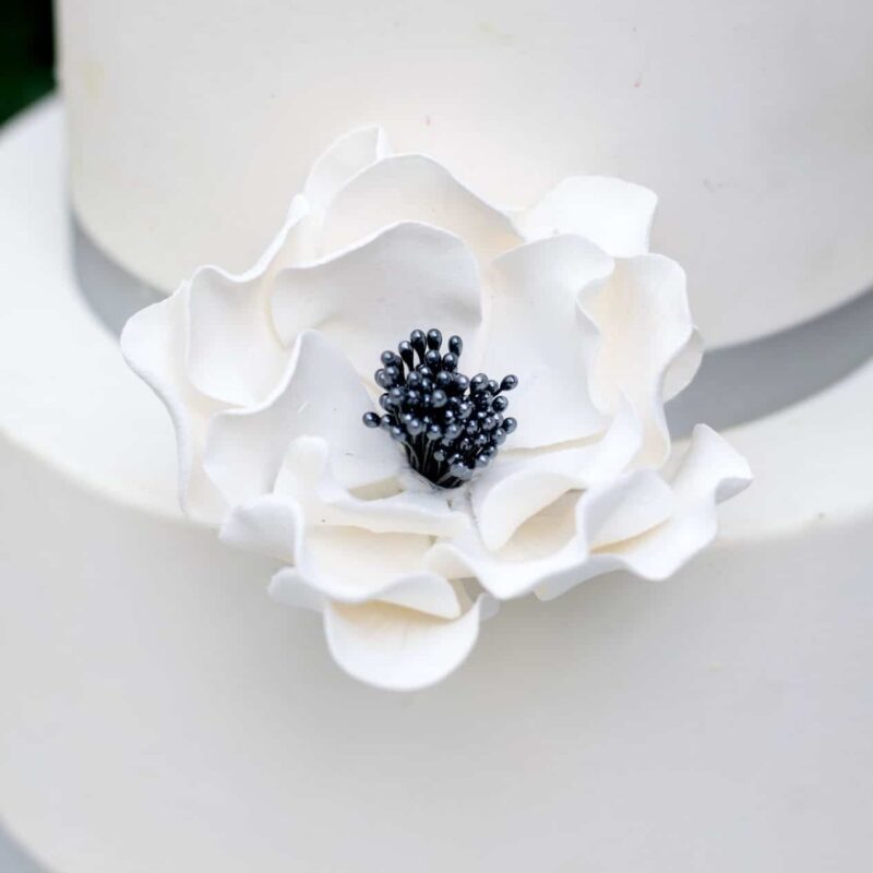 white and black small open rose sugar flower on a two tier white fondant wedding cake