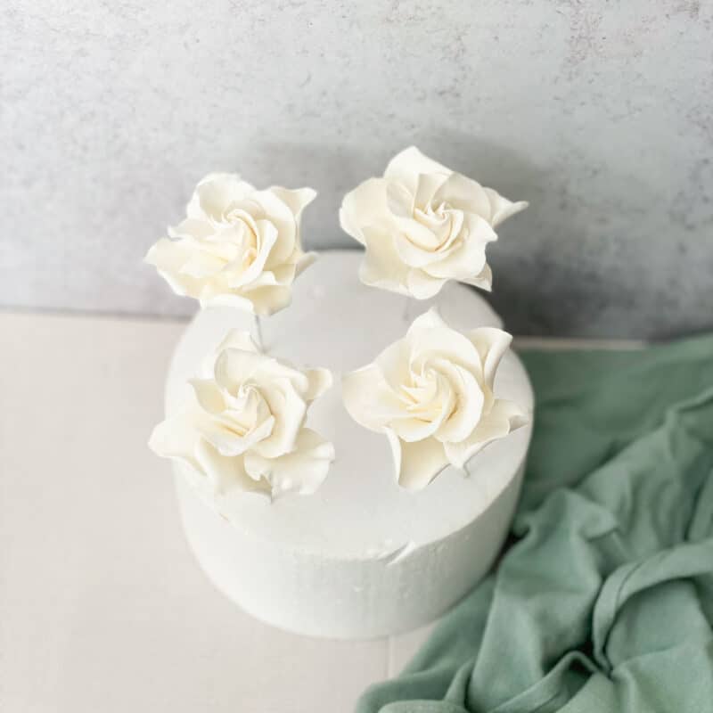 Gardenia Sugar Flowers by Kelsie Cakes