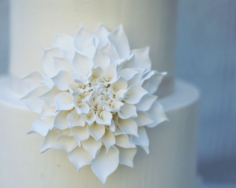 Large white dahlia sugar flower