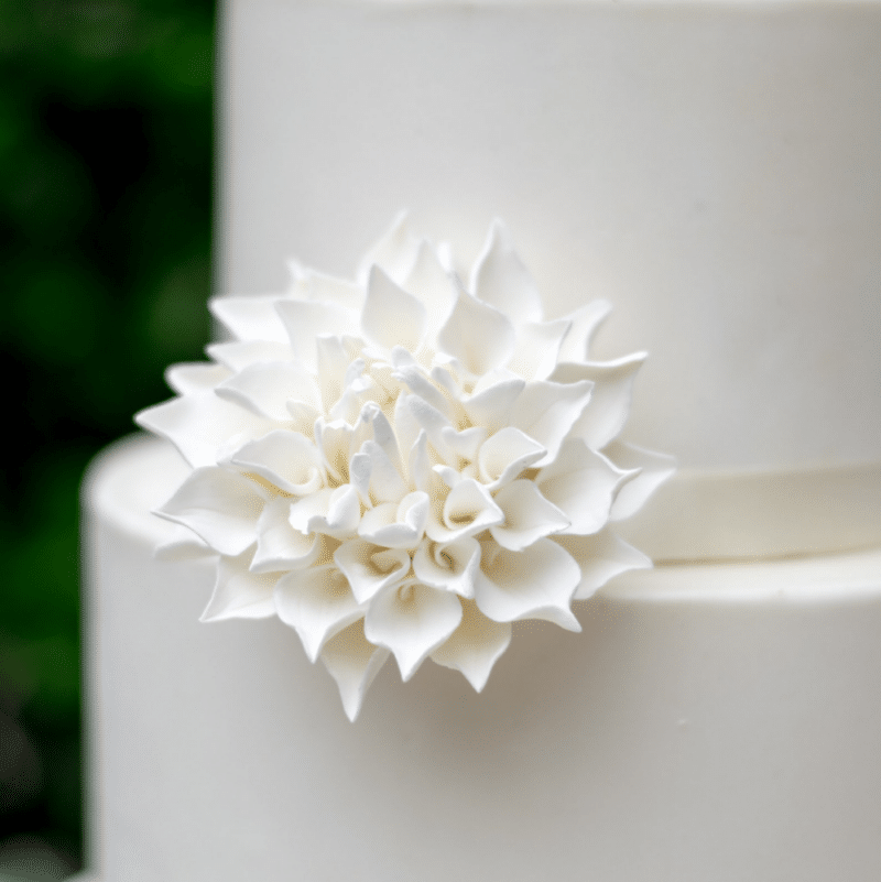 White Dahlia - Medium Sugar Flowers by Kelsie Cakes