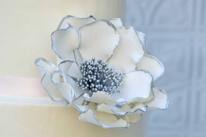 extra large white silver edged open rose Gumpaste flower