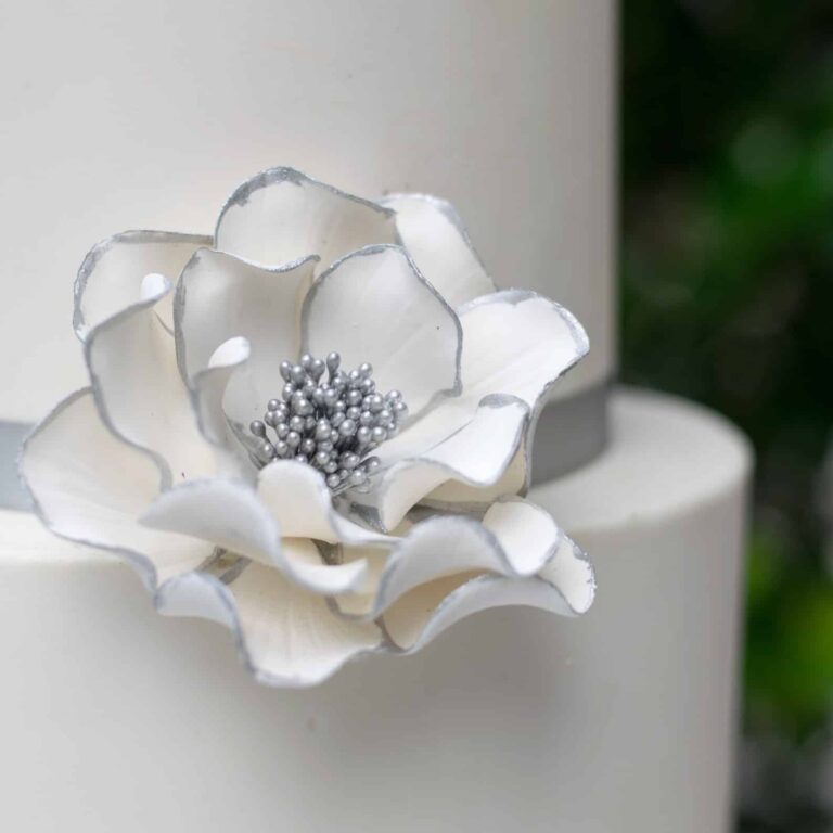 close up of medium silver edged white open rose sugar flower on a two tier white fondant wedding cake