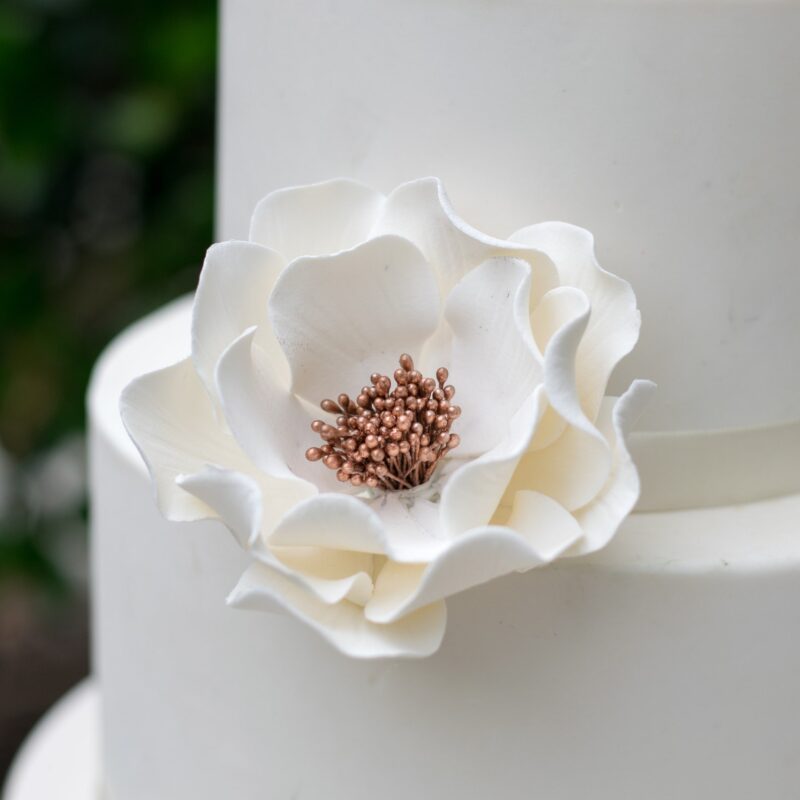 Open Rose White + Rose Gold Sugar Flowers by Kelsie Cakes