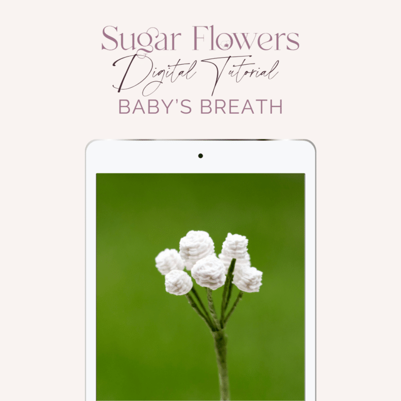Tutorial: Baby’s Breath Sugar Flowers by Kelsie Cakes