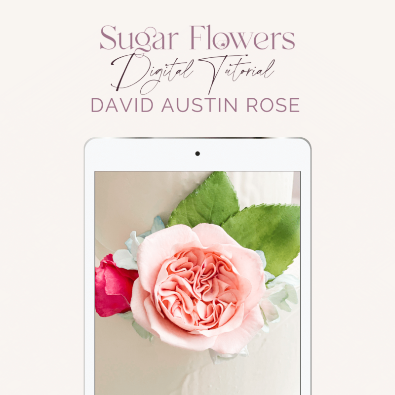 COMING SOON - Tutorial: David Austin Rose Sugar Flowers by Kelsie Cakes