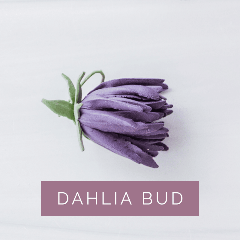 Plum Dahlia Bud Sugar Flowers by Kelsie Cakes