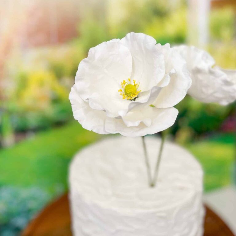 Daisies - set of 6 Sugar Flowers by Kelsie Cakes