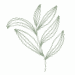 Peony leaf icon