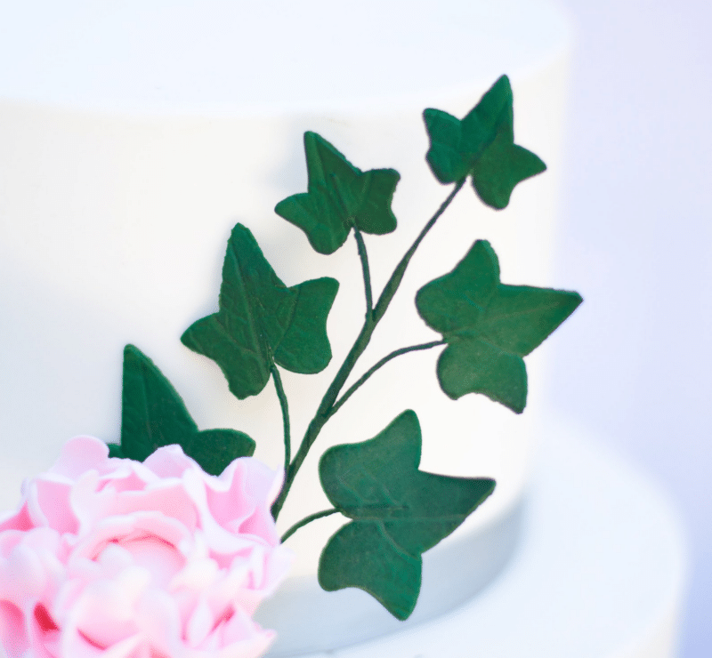 Ivy Leaf Spray Sugar Flowers by Kelsie Cakes