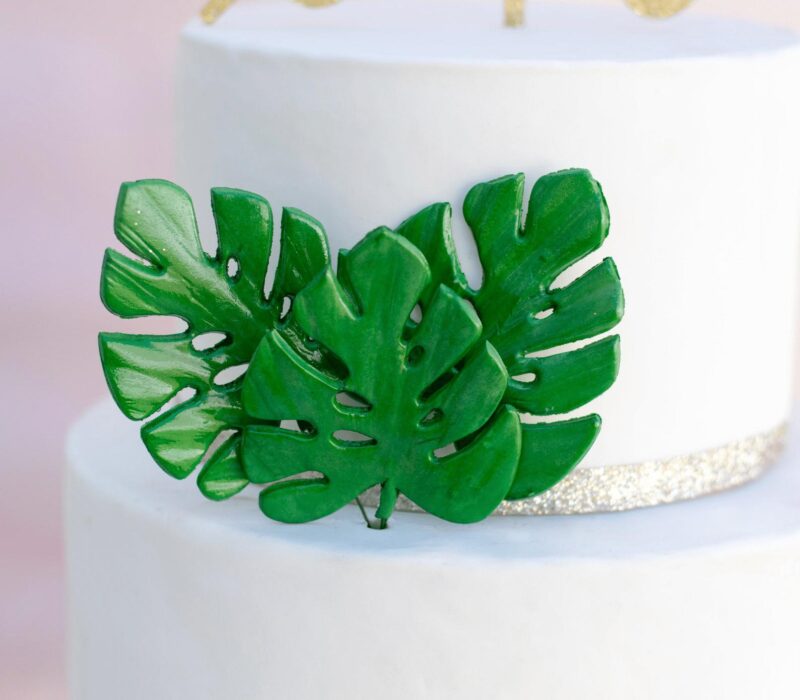 A close up of three small vibrant green monstera leaves arranged in a cluster on a white cake