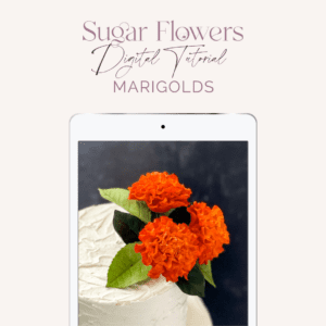 Marigold sugar flower tutorial
