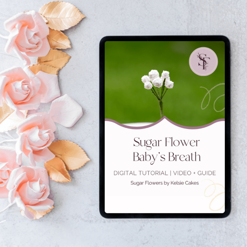 Tutorial: Baby’s Breath Sugar Flowers by Kelsie Cakes