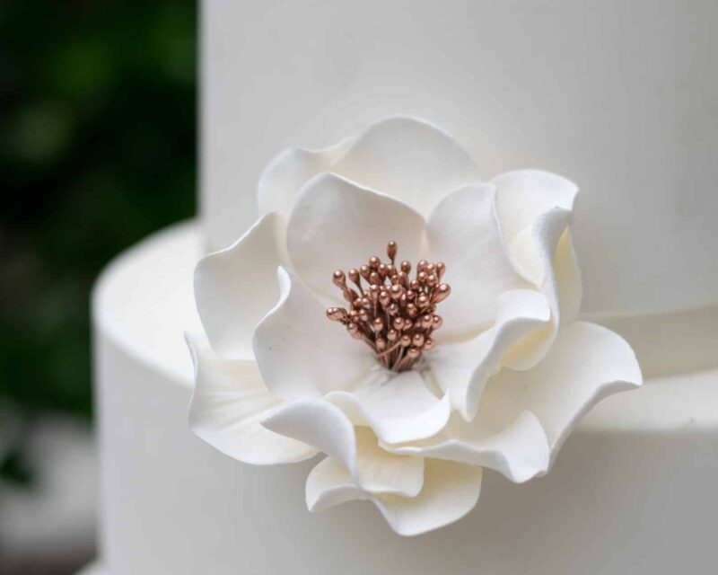 medium white and rose gold open rose sugar flower