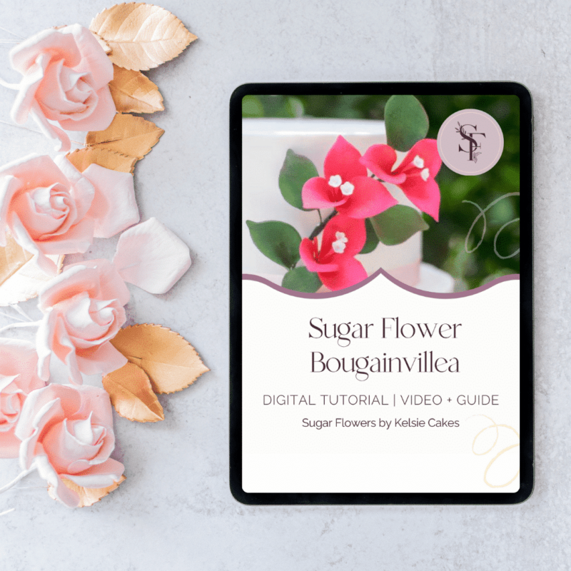 COMING SOON - Tutorial: Bouganvillea Sugar Flowers by Kelsie Cakes