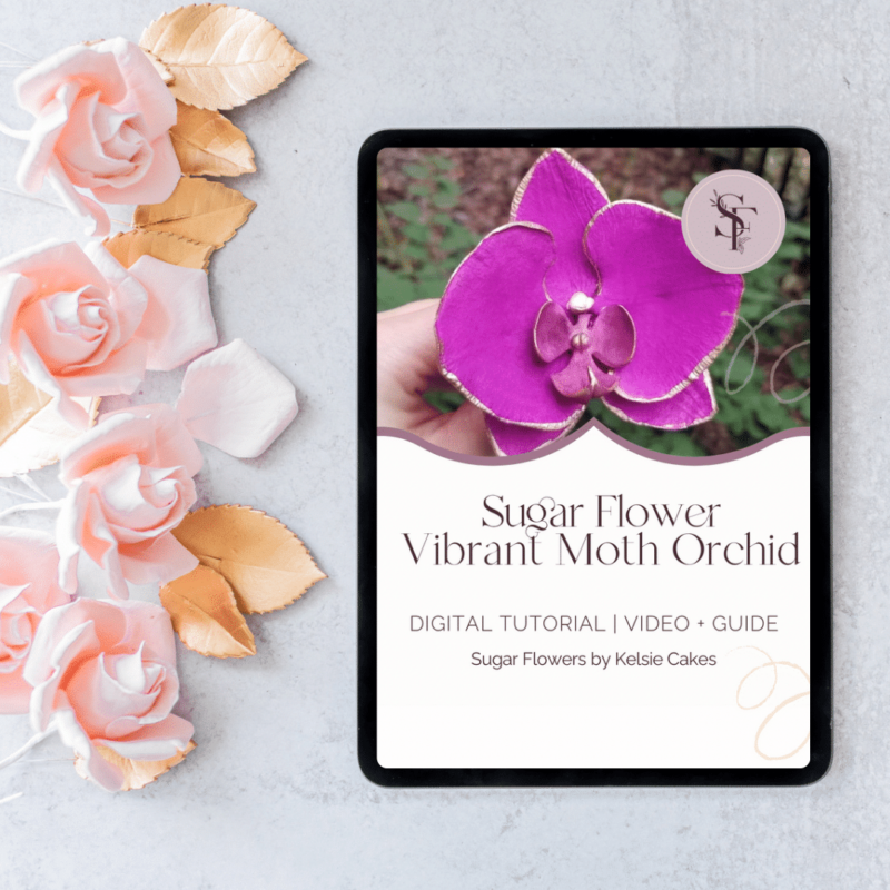 COMING SOON - Tutorial: Vibrant Moth Orchid Sugar Flowers by Kelsie Cakes