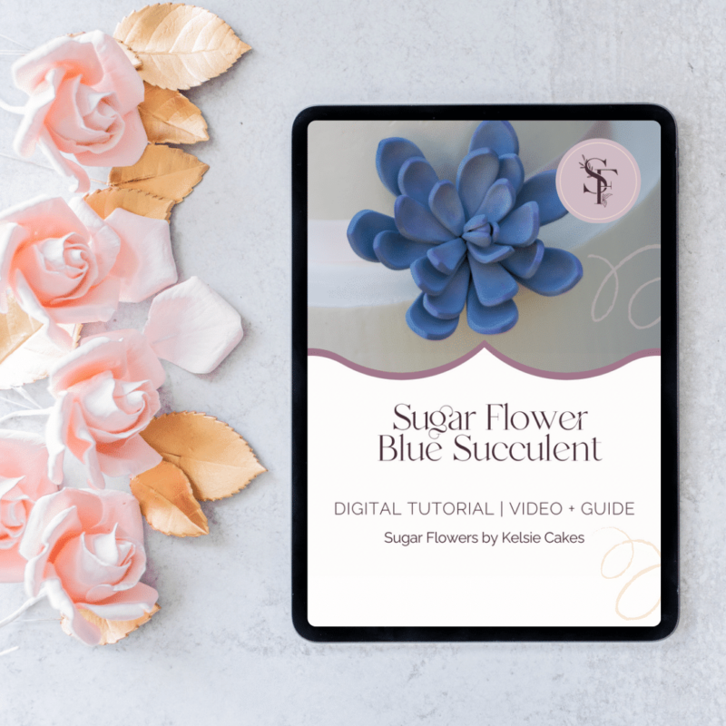 COMING SOON - Tutorial: Blue Succulent Sugar Flowers by Kelsie Cakes