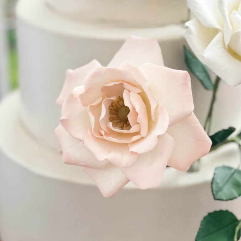 Blush heirloom rose sugar flower placed on a three tier white wedding cake
