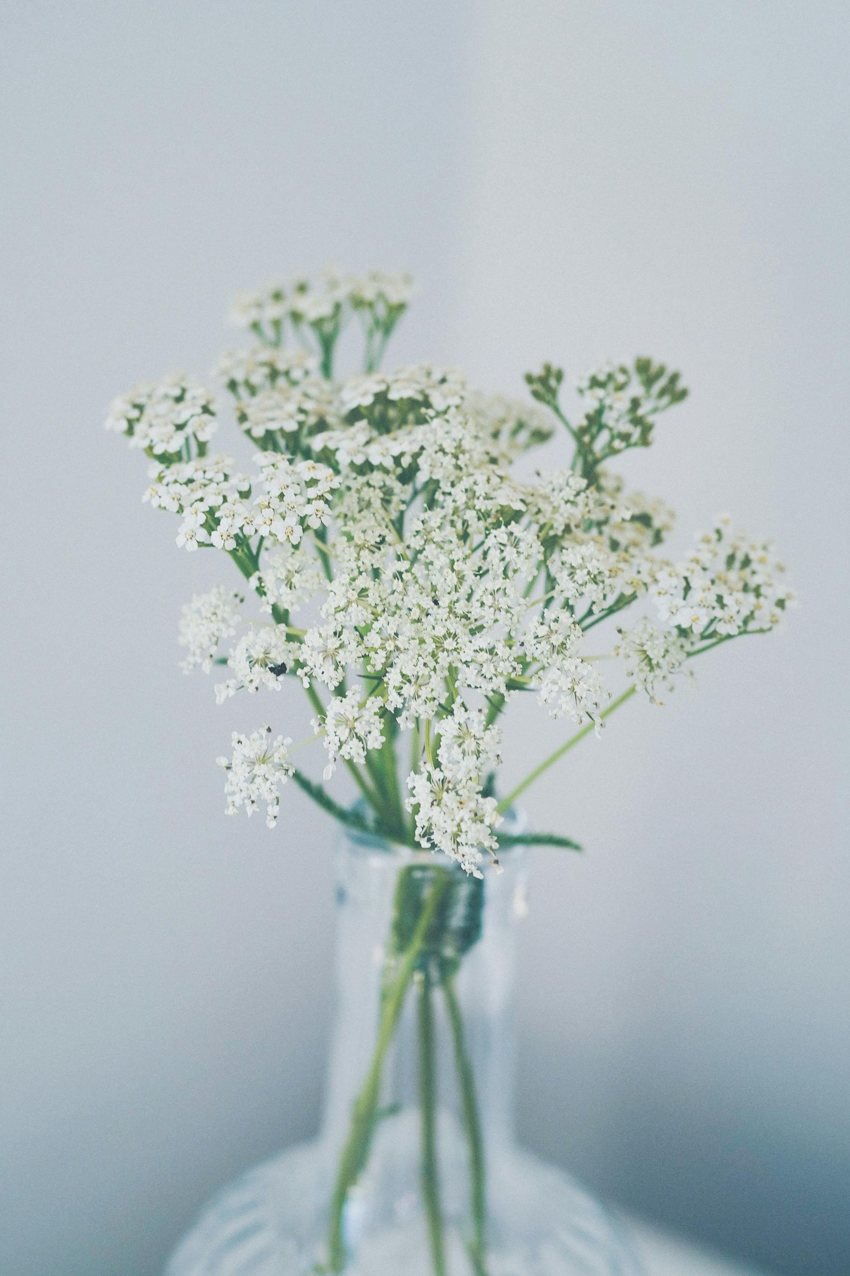 Bouquet of Small White Flowers in a Glass Vase