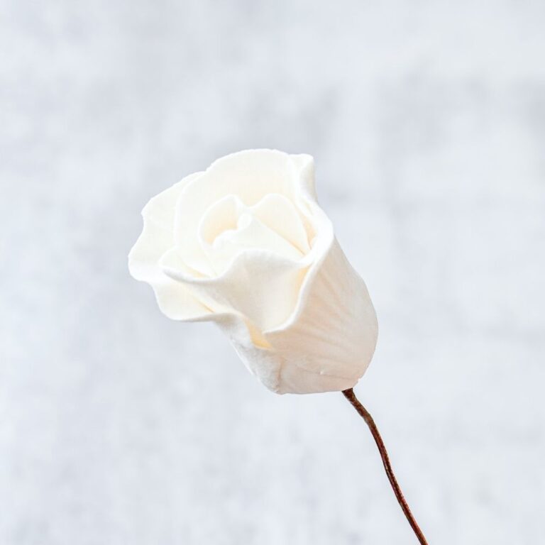 Magnolia Bud - White