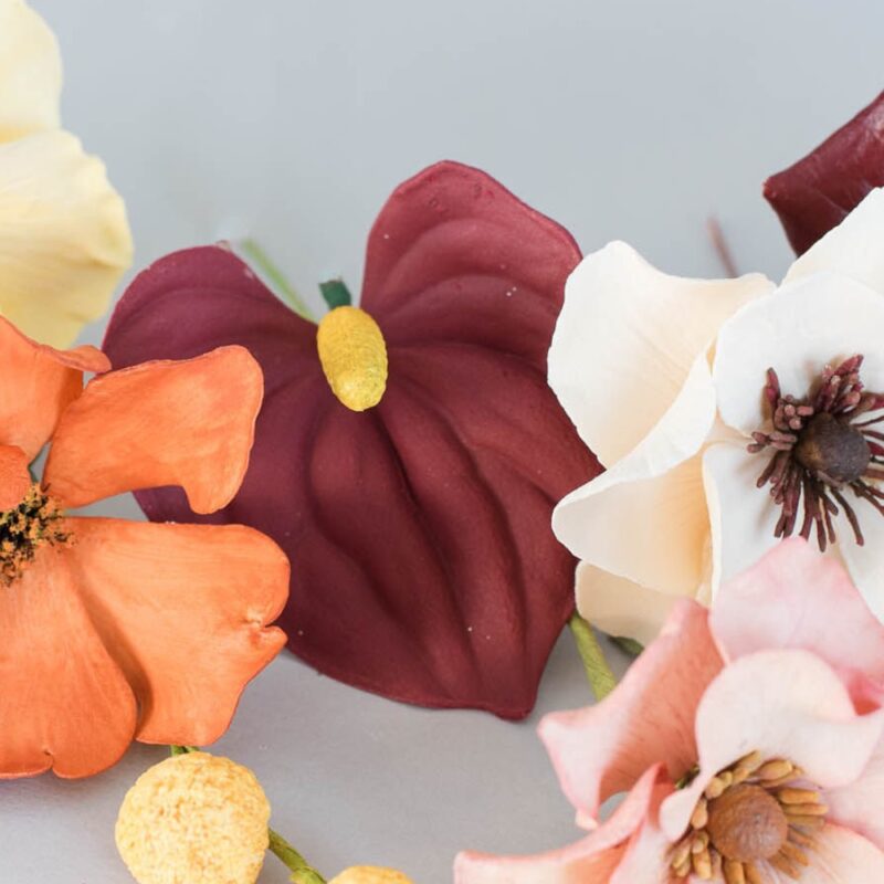 Anthurium Lily - Image 3